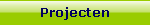 Projecten
